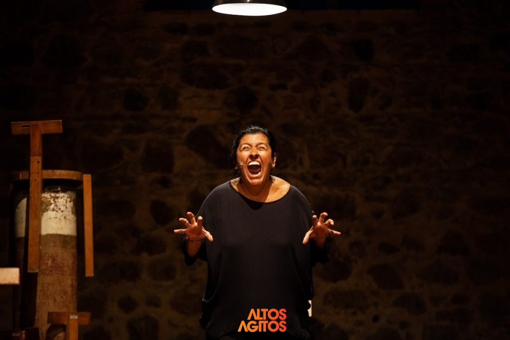 FC2019_Recital-da-Onça_foto-João-Pedro-Januário-15