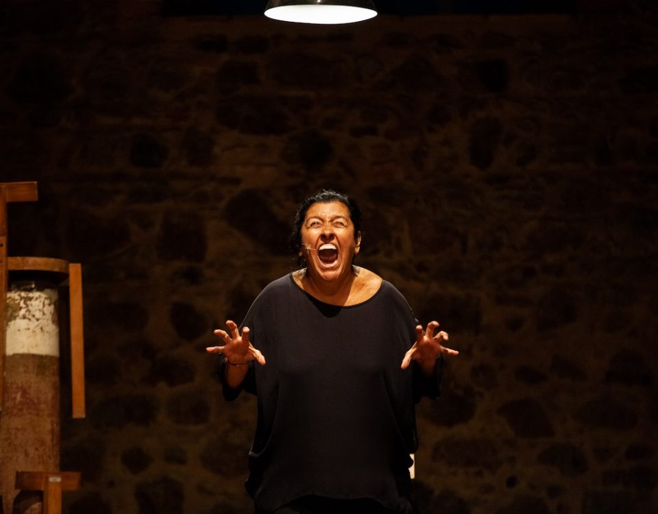 FC2019_Recital-da-Onça_foto-João-Pedro-Januário-15